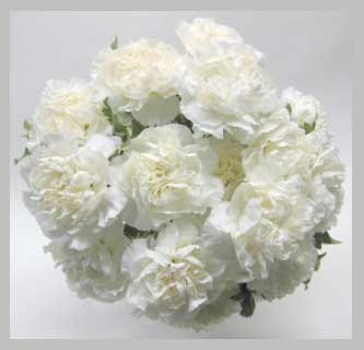 Classic Carnation Wedding Bouquet